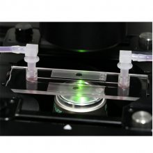 全球光学玻璃市场报告2025-2031