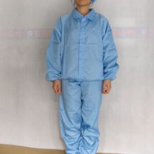 ݸ 