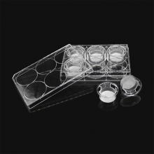 LABSELECT 14151 细胞培养小室，含6孔板（PC膜，24mm，孔径1.0um)