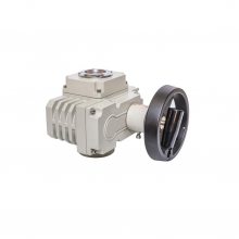 JL-5JL-10JL-20JL-50JL-100JL-200С͵綯ִ/Electric Actuator