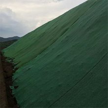 庆阳边坡绿化施工 水泥喷浆挂网锚喷 三维网护坡植草施工队