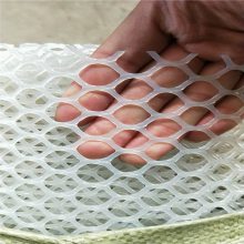 宁津塑料网带 河北矿用塑料网 育雏网床制兴来