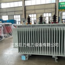 S20ѹ ЧS20-1000KVA-NX2ͽʽѹ