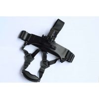  ˫ĿͲ2ҹ NV2GP KIT