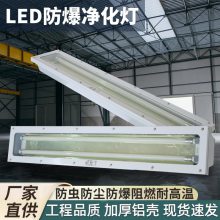ྻӫBHY-1*18W2*38W˫޳LED