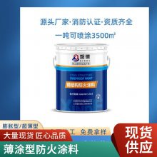 江苏超薄型室外室内膨胀型钢构防火涂料钢结构防火涂料检测包工包料