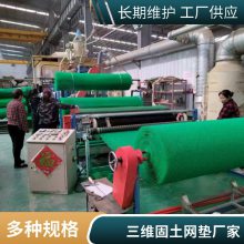 世杰土工 护坡三维土工网垫 EM3植被网 固土防止水土流失