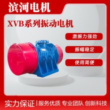 滨河XVB-180-6六极卧式振动电机13kW通用型防爆机壳振动电机