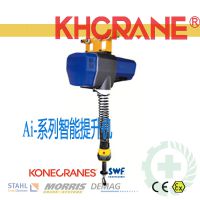 DUNBARTON/80/150/300/600kgŷ ޼ŷ綯«