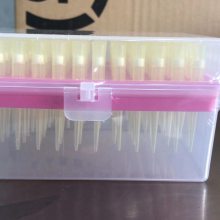 国产实验室移液器移液枪吸头吸嘴 200ul 大龙 艾本德 赛默飞 一次性吸头盒装袋装滤芯无滤芯