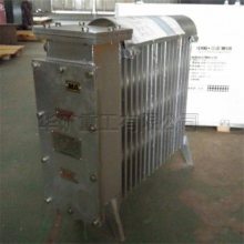 矿用取暖器厂家直销 矿用取暖器坚固耐用 RB-2000/127（A）矿用取暖器
