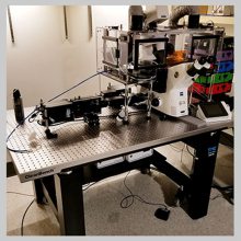 TMC CleanBench? ������ ��ҵ��׼63ϵ�У�ɭȪ���