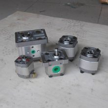 SKBTFLUID牌CB-E0.88齿轮泵