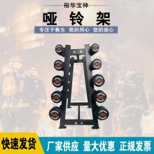 双层哑铃架商用健身器材10副装黑色健身俱乐部工作室哑铃架