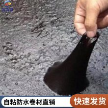 sbs聚合物自粘防水卷材 易铺平整 海驰防水