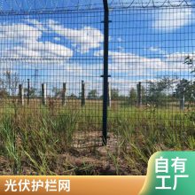 ѧУ���������� �����ܺϽ�Χǽ����Χ��п�ֻ�����