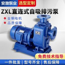 50ZXL12.5-50ֱʽ۱ 綯ʽ