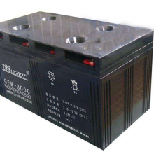 GFM-20002V2000AH󱸵Դר
