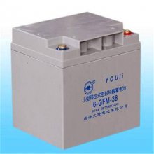 ̨YOULI¡6-GFM-8012V80AHûֲ