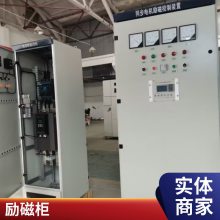 ƣ1000KWͬ綯ſװ