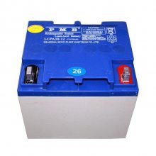 PMB LCPA200-12 ǳ12V200AH ֱ upsԴ ϵͳ