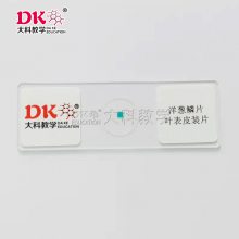 生物切片显微玻片植物学教学玻片动物学玻片组织胚胎中草药切片蚕豆叶下表皮洋葱表皮