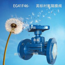 EG41F46-10C DN32 手动耐酸碱管道式304隔膜阀EG41F46-16C南高阀门