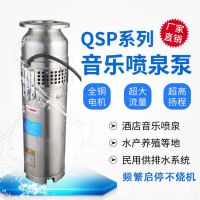 304不锈钢喷泉水泵 QSP40-12-2.2市政工程项目喷泉泵型号不锈钢潜水喷泉泵