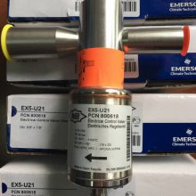 EMERSONĬͷEX4/EX5/EX6/EX7/EX8ĬȶȿEC3-X33