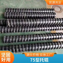 鑫文浩铁矿石|塑料槽形托辊|码头|D108|D194|供应厂家