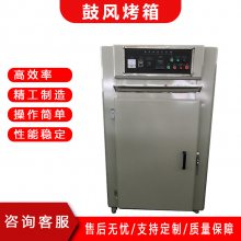 奥莱 实验室小型恒温干燥箱 工业高温烘箱 烘干箱烤箱