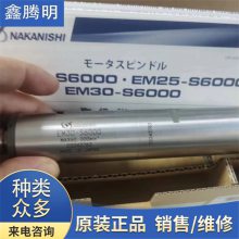 NSK-NAKANISHI品牌 中西一体式床电动马达主轴EM30-S6000