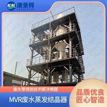 有色金属冶金废水浓缩液处理 有色金属冶金废水处理 康景辉 废水处理