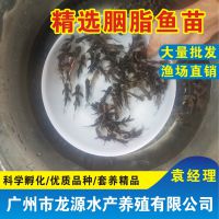 ֬綡Դˮ