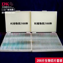 200ƬƬװ 100 ֲ100