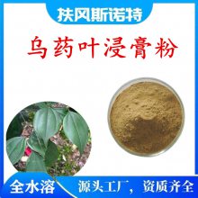 乌药叶提取物物 20:1 乌药叶粉 乌药浸膏 