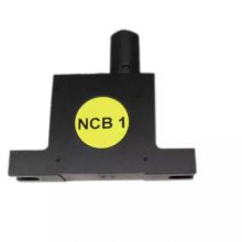 ¹NetterNCB1