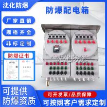 防爆电伴热控制柜 加热带钢板配电箱 开关电源柜