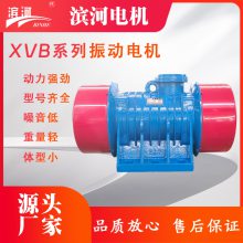XVB-160-6六极三相异步振动电机滨河源头供应通用型振动电机
