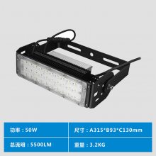 300W ʸͶ