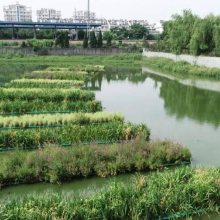 苏州市景观浮床 水体净化 人工浮岛生态浮岛的