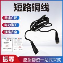 电路短路铜线强磁圆头短路铜线回流线单轨牵引回流续接线
