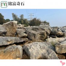 太湖石偏爱自然野趣，铭富太湖石搭配效果，萍乡太湖石原石分享