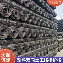 HDPE单向拉伸塑料土工格栅 路基挡土墙加固用 世杰 PP单向格栅