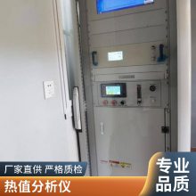 正压防爆机柜防爆型抽取式气体分析仪WX-3000Ex 连续输出监测数据