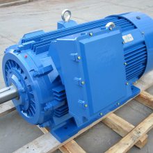 供應(yīng)大連電機(jī)廠大功率主軸伺服電機(jī)