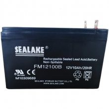 SEALAKEFM121200 12V120AHUPSѲӦصԴ