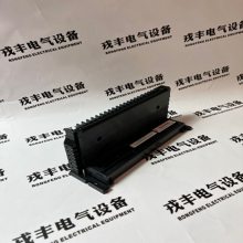 IC660TSS100 Emerson 端子组件