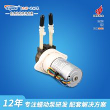 ʵ΢䶯ˮ12V24Vֱ綯ˮ