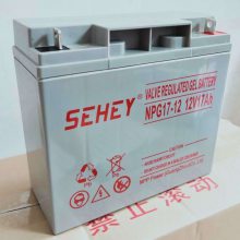 NPG120-12SEHEYطʽǦά12V120AHʹ÷